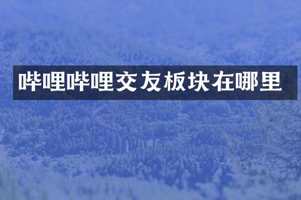 哔哩哔哩交友板块在哪里