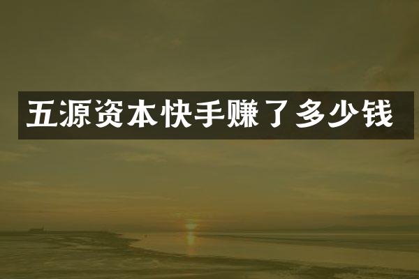 五源资本快手赚了多少钱