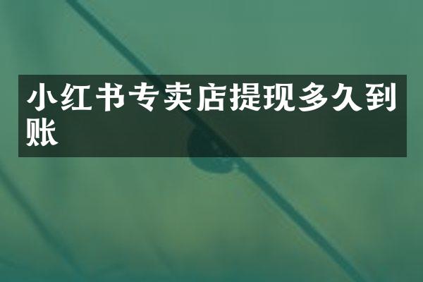 小红书专卖店提现多久到账