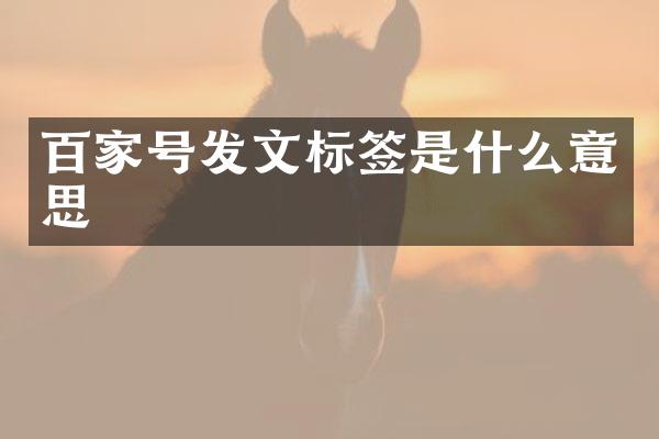 百家号发文标签是什么意思