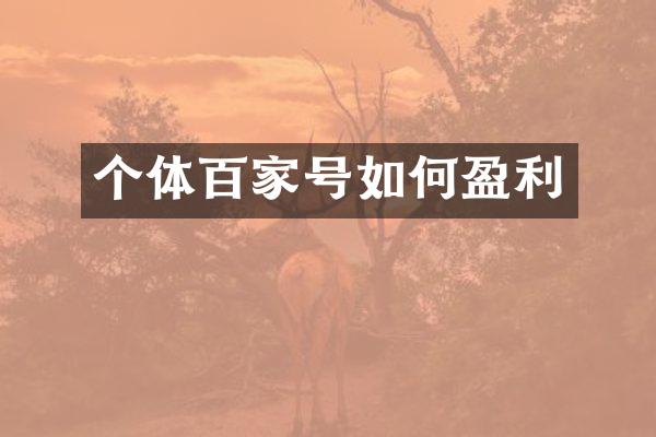 个体百家号如何盈利
