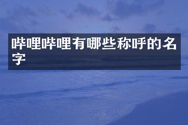 哔哩哔哩有哪些称呼的名字