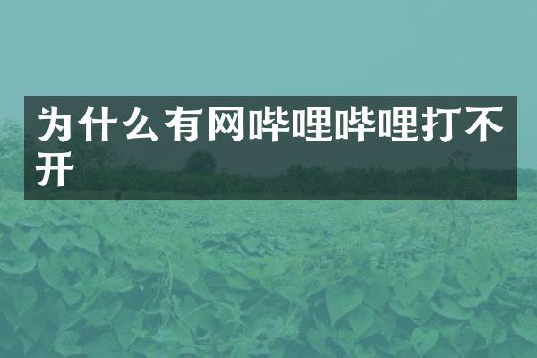 为什么有网哔哩哔哩打不开