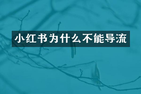 小红书为什么不能导流