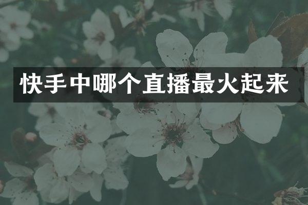 快手中哪个直播最火起来