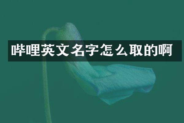 哔哩英文名字怎么取的啊