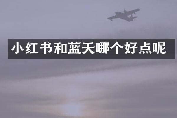 小红书和蓝天哪个好点呢