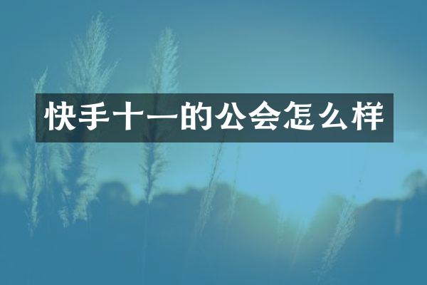 快手十一的公会怎么样