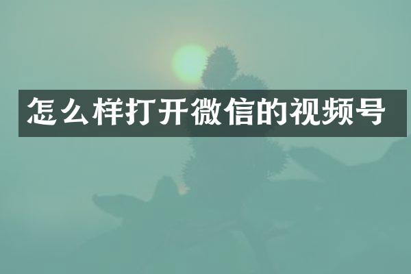 怎么样打开微信的视频号