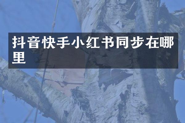 抖音快手小红书同步在哪里
