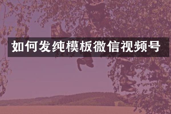 如何发纯模板微信视频号