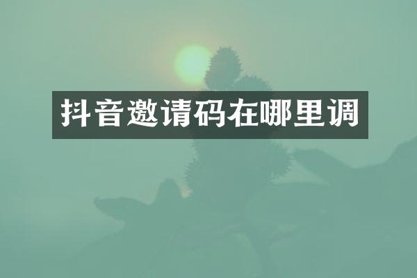 抖音邀请码在哪里调