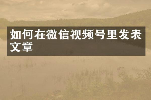 如何在微信视频号里发表文章