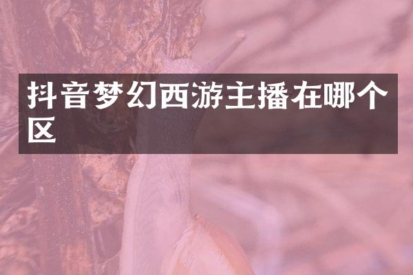 抖音梦幻西游主播在哪个区