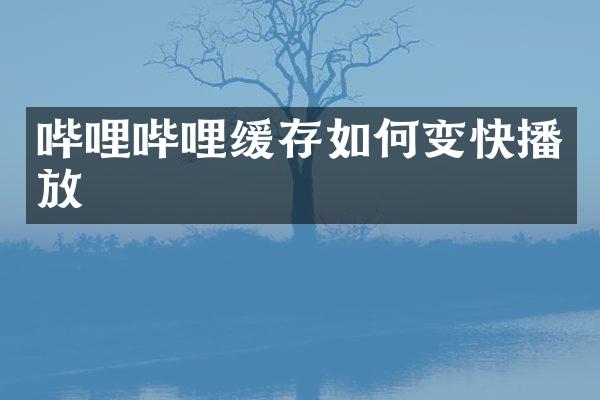 哔哩哔哩缓存如何变放