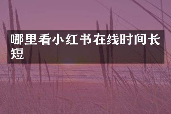哪里看小红书在线时间长短