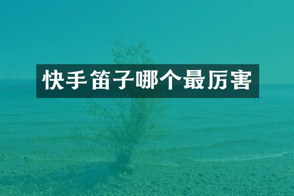 快手笛子哪个最厉害