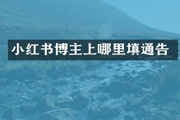 小红书博主上哪里填通告