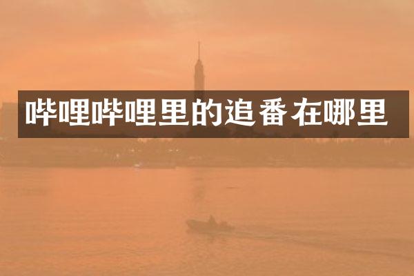 哔哩哔哩里的追番在哪里
