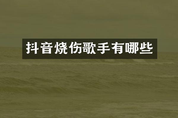 抖音烧伤歌手有哪些