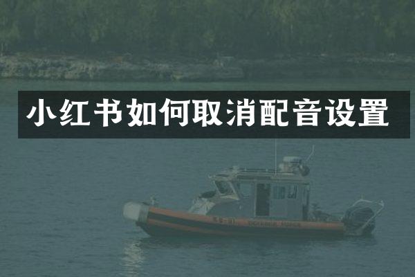 小红书如何取消配音设置