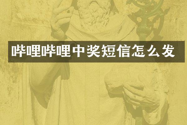 哔哩哔哩中奖短信怎么发