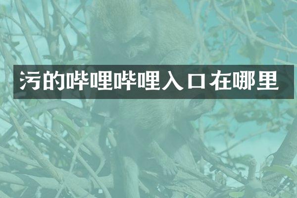 污的哔哩哔哩入口在哪里