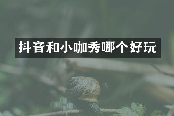抖音和小咖秀哪个好玩