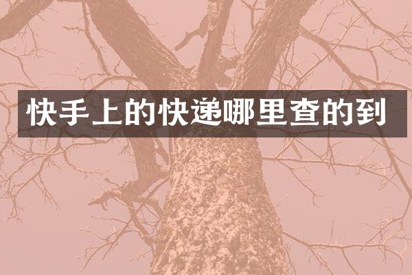 快手上的快递哪里查的到