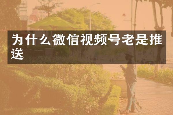 为什么微信视频号老是推送
