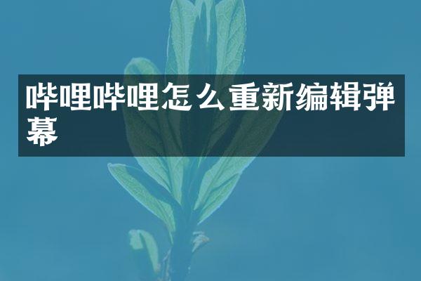哔哩哔哩怎么重新编辑弹幕