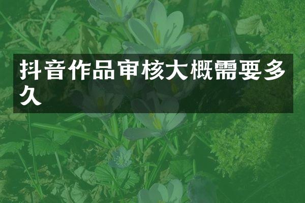 抖音作品审核大概需要多久