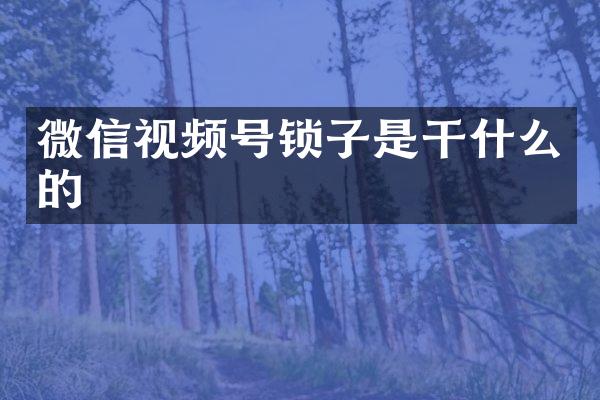 微信视频号锁子是干什么的