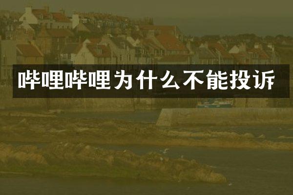 哔哩哔哩为什么不能投诉
