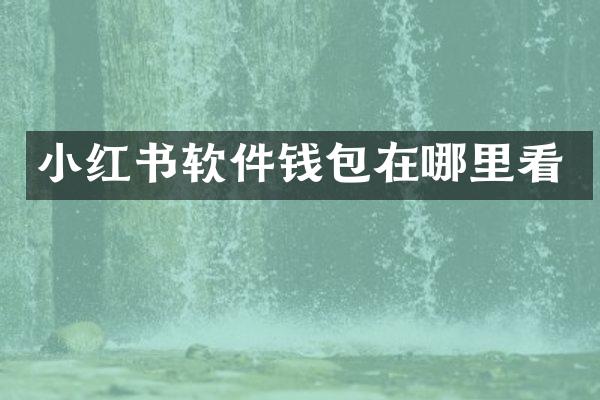 小红书软件钱包在哪里看