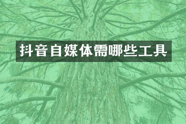 抖音自媒体需哪些工具