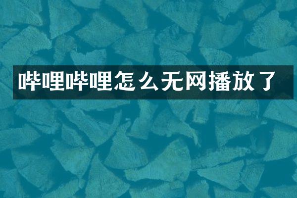 哔哩哔哩怎么无网播放了