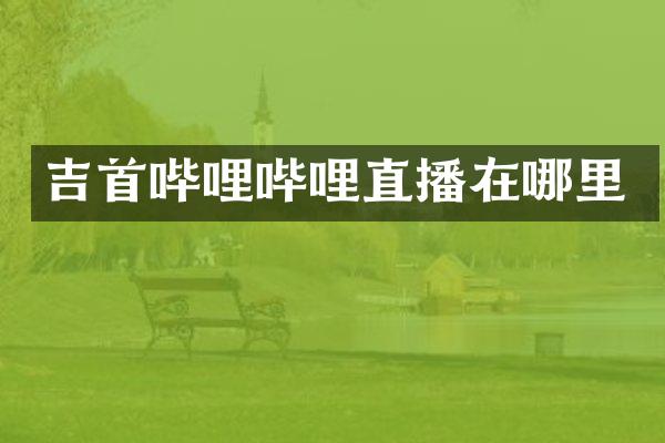吉首哔哩哔哩直播在哪里