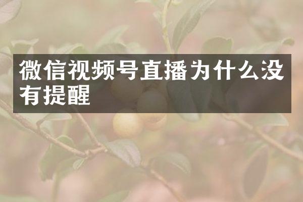 微信视频号直播为什么没有提醒