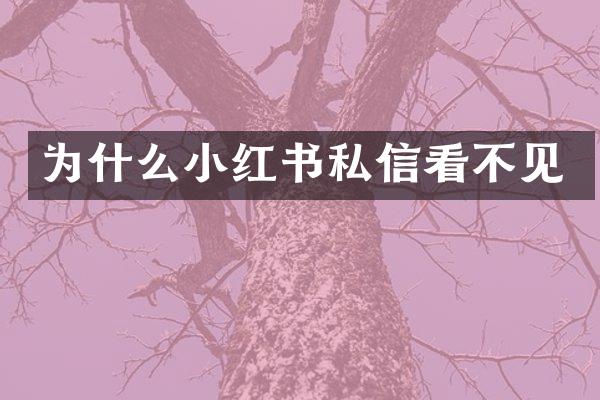 为什么小红书私信看不见