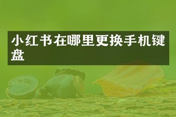 小红书在哪里更换手机键盘