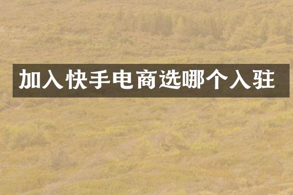 加入快手电商选哪个入驻