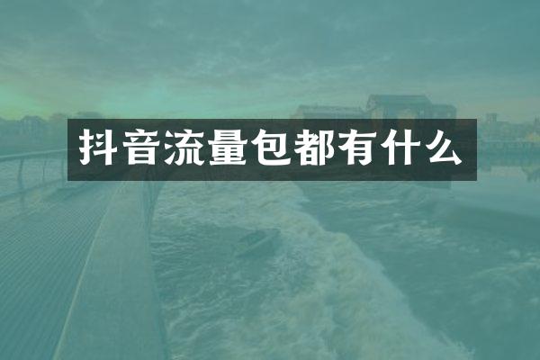 抖音流量包都有什么