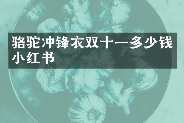骆驼冲锋衣双十一多少钱小红书