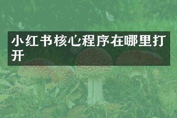 小红书核心程序在哪里打开