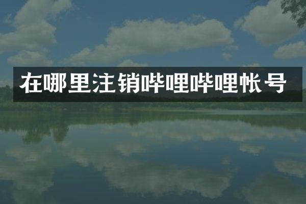 在哪里注销哔哩哔哩帐号