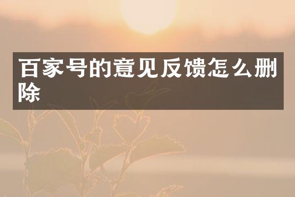 百家号的意见反馈怎么删除