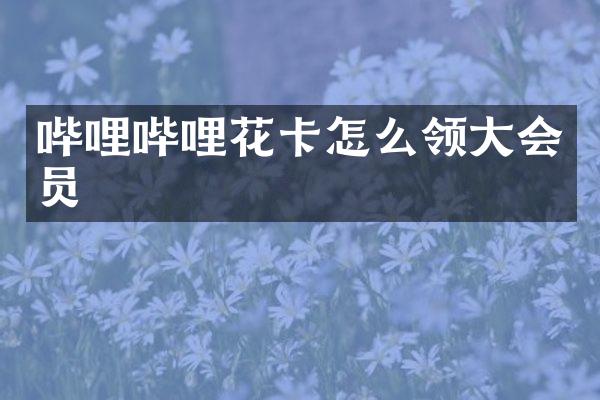 哔哩哔哩花卡怎么领大会员