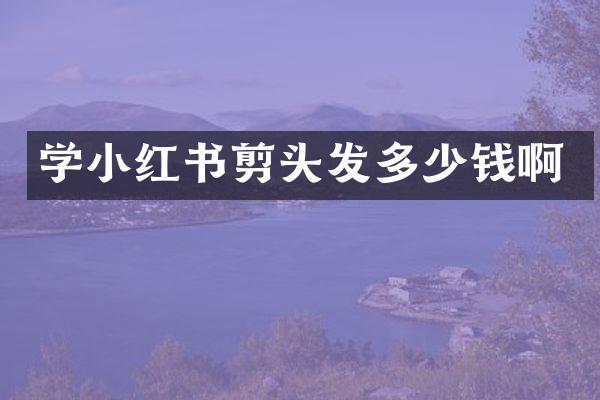学小红书剪头发多少钱啊