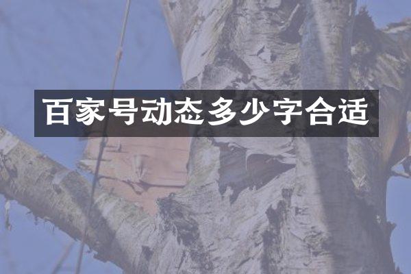 百家号动态多少字合适